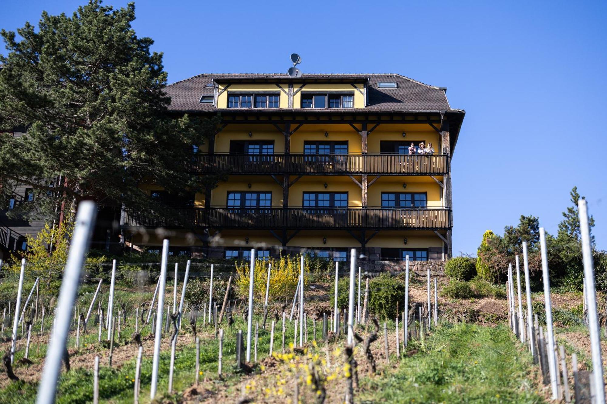 Hôtel Arnold Itterswiller Exterior foto